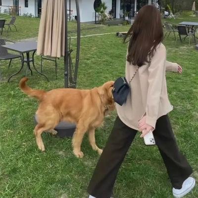 多此一女